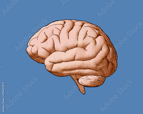 Vintage brain drawing with retro color style