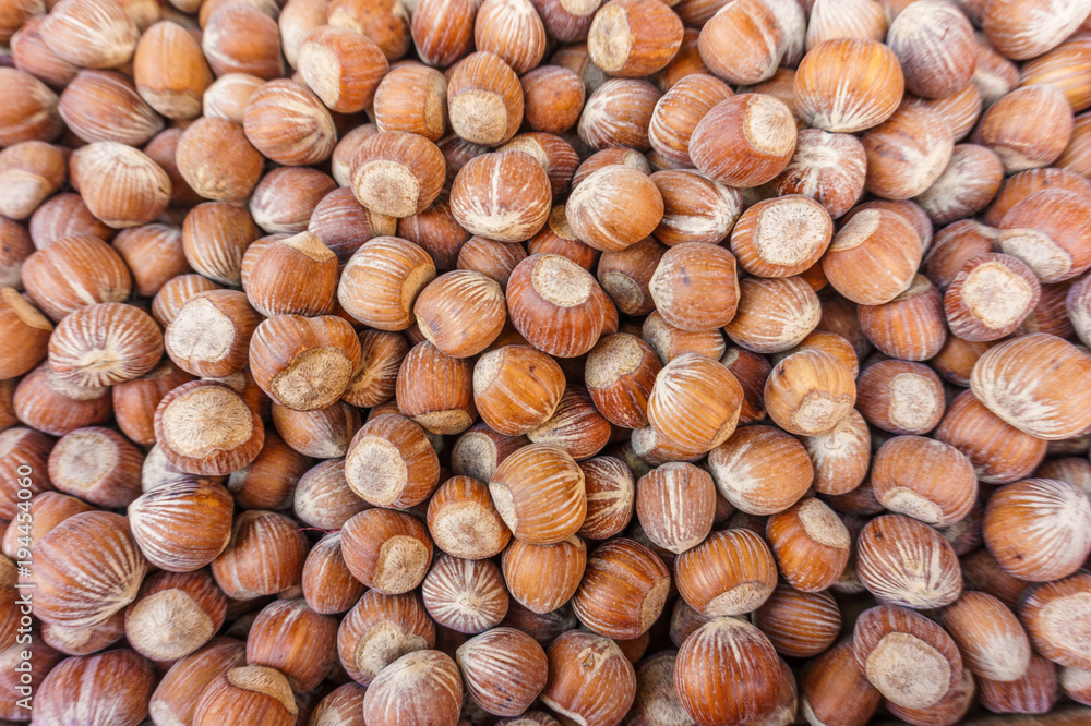lots of hazelnut nuts, walnut natural background lots of hazelnut nuts, walnut natural background