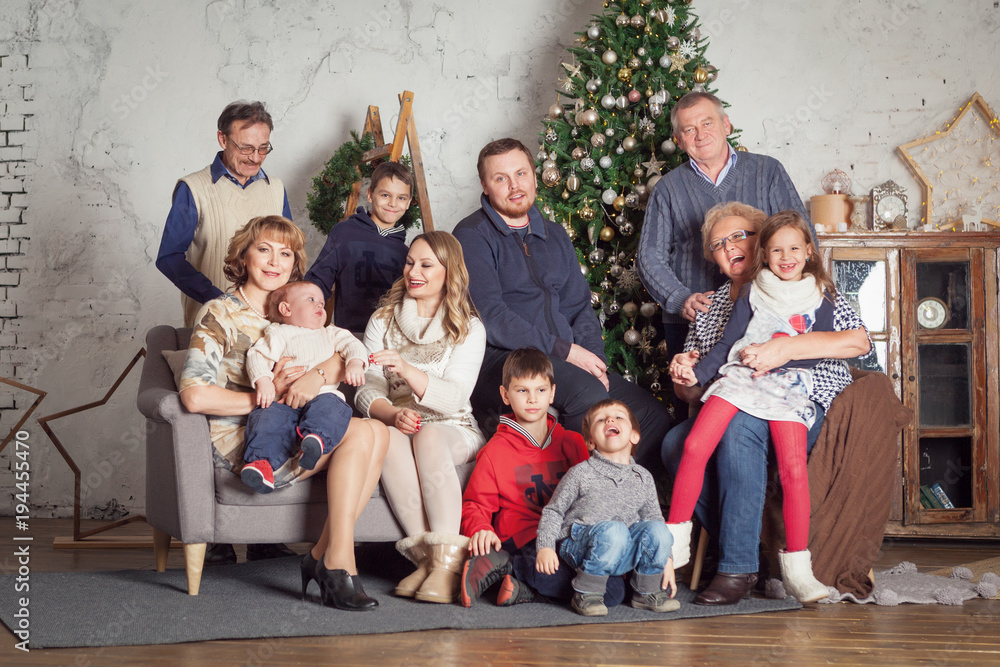 Portrait of beautiful big happy family in Christmas decorations