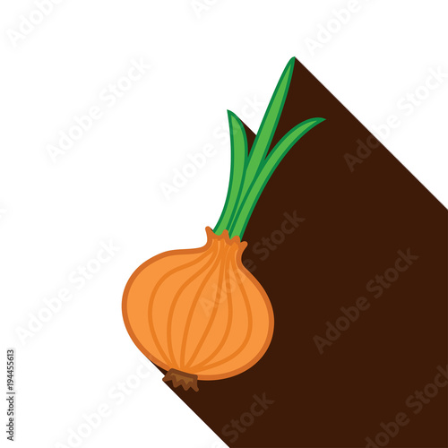 onion with long shadow