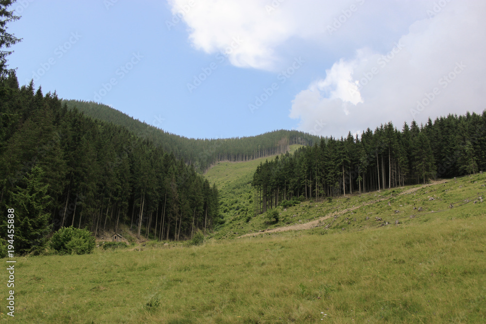 Somewhere in the Carpathians