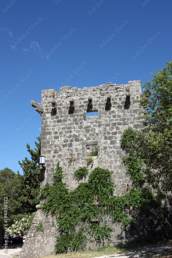 Abandoned Castle Tower Ruin