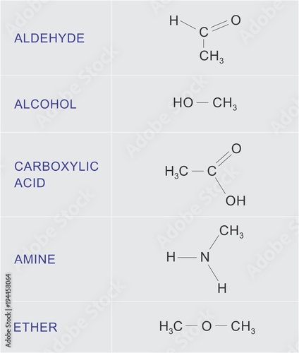 Organic chemical functions