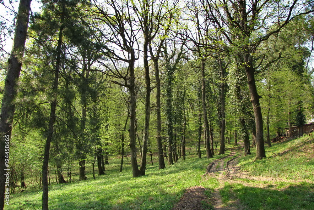Landscape on Fruska Gora Mountain in Serbia Landscape on Fruska Gora Mountain in Serbia