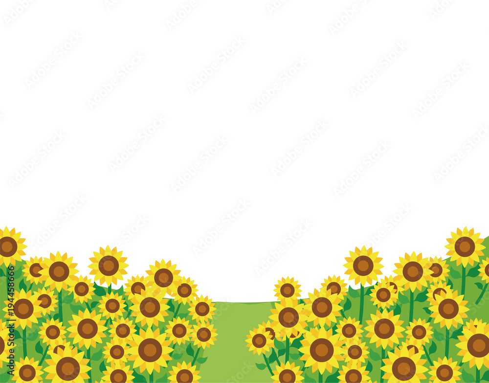 ひまわり畑のメッセージ素材イラスト Stock Vector Adobe Stock