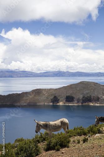 Isla del Sol on lake Titica...