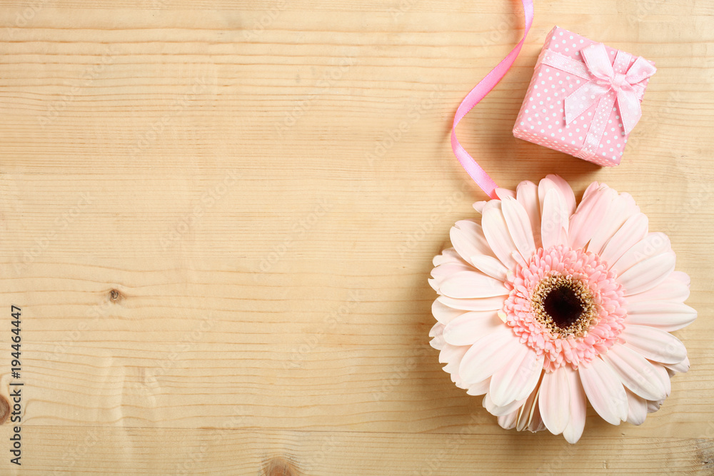 Fototapeta premium pink gerbera flower