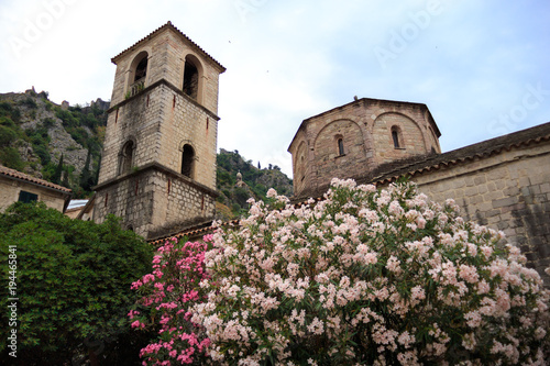 old stone Church with pink flower bushes