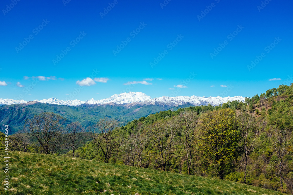 Meadows and hills in spring, in the background the Alpine chain, Piedmont Italy