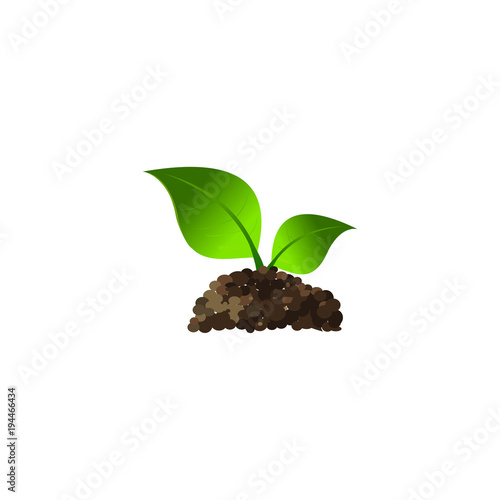 Potted Plants EPS 8 vector, grouped for easy editing, no open shapes or paths.