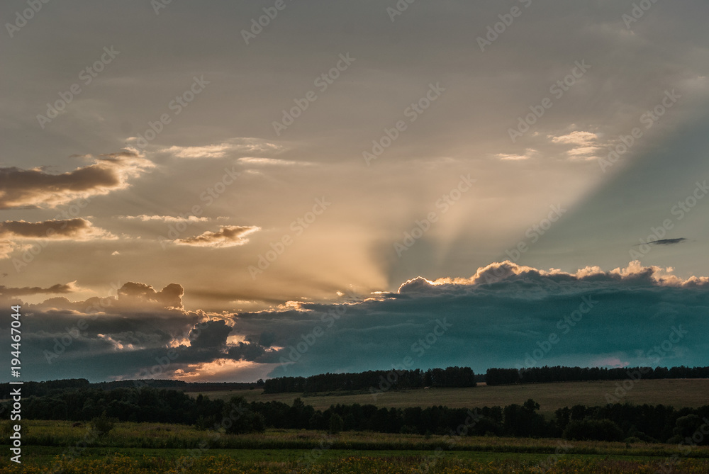 Obraz premium SONY DSC