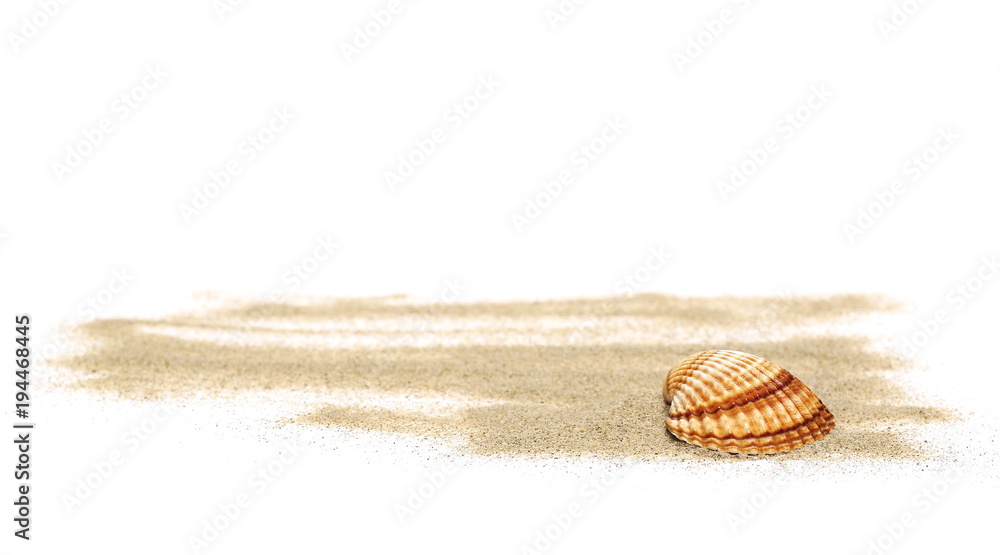 Sea shells in sand pile isolated on white background Stock Photo ...