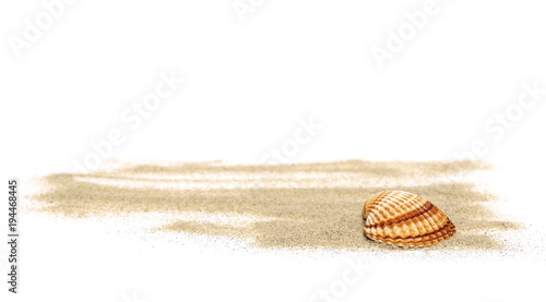 Canvas Print Sea shells in sand pile isolated on white background