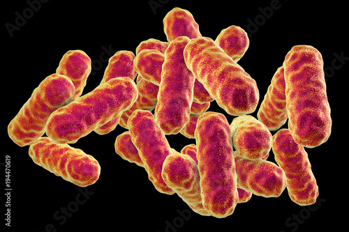 Serratia marcescens bacteria, gram-negative rod-shaped bacteria, causative agents of hospital-aquired nosocomial antibiotic-resistant infections, 3D illustration photo