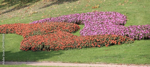 Red and pink flowers form a Ying-Yang pattern