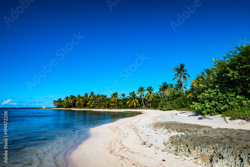 Tropical beach with palm trees and ocean