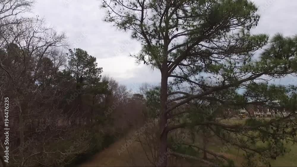 Drone Flight over Tree from Parking Lot to View of Suburban Area with Road Drone Flight over Tree from Parking Lot to View of Suburban Area with Road