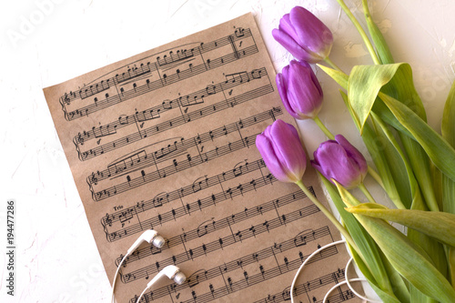 notes song music headphones romance love purple pink tulips spring melody paper notes with notes