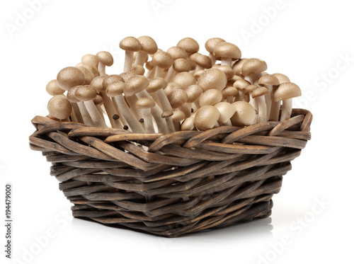 white beech mushroom in a basket isolated on white background