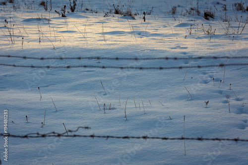 Wallpaper Mural Winter morning, snowy surroundings. Misty morning landscape with countryside. Winter landscape in the countryside, all covered with snow. Forest animals traces in the snow. Torontodigital.ca