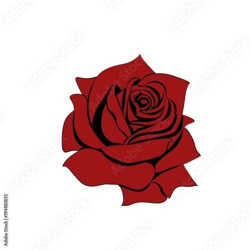 Fototapeta Naklejka Na Ścianę i Meble -  red rose