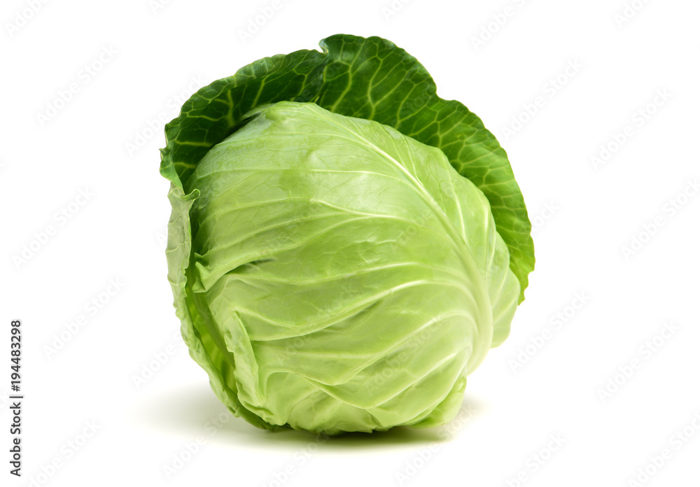 Cabbage on white background Cabbage on white background