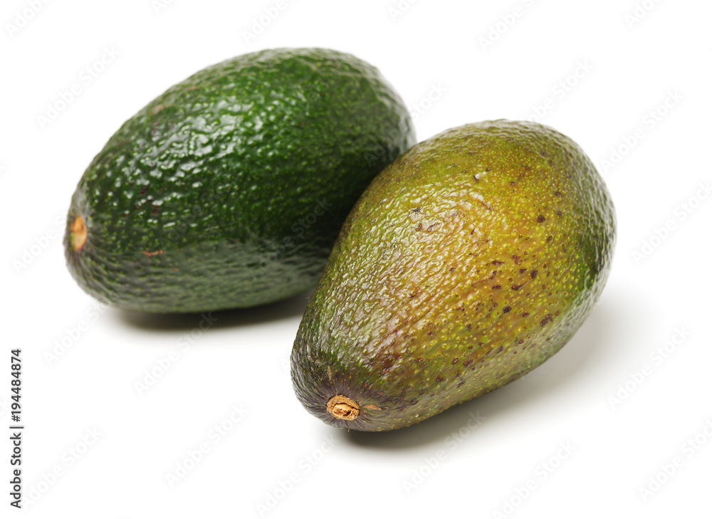 avocados on white background avocados on white background