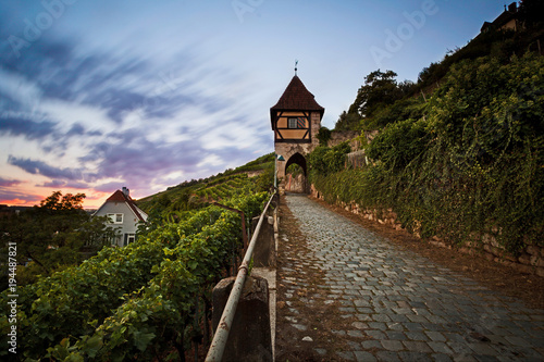 Esslingen, Unterer Neckarhaldenweg mit Tor im Sonnenuntergang photo