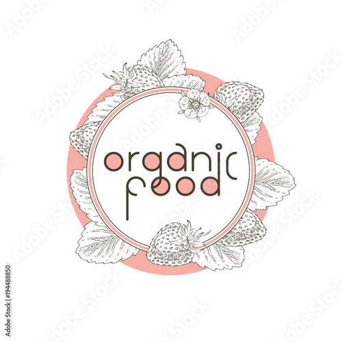 Organic Food. Srawberry Contour photo