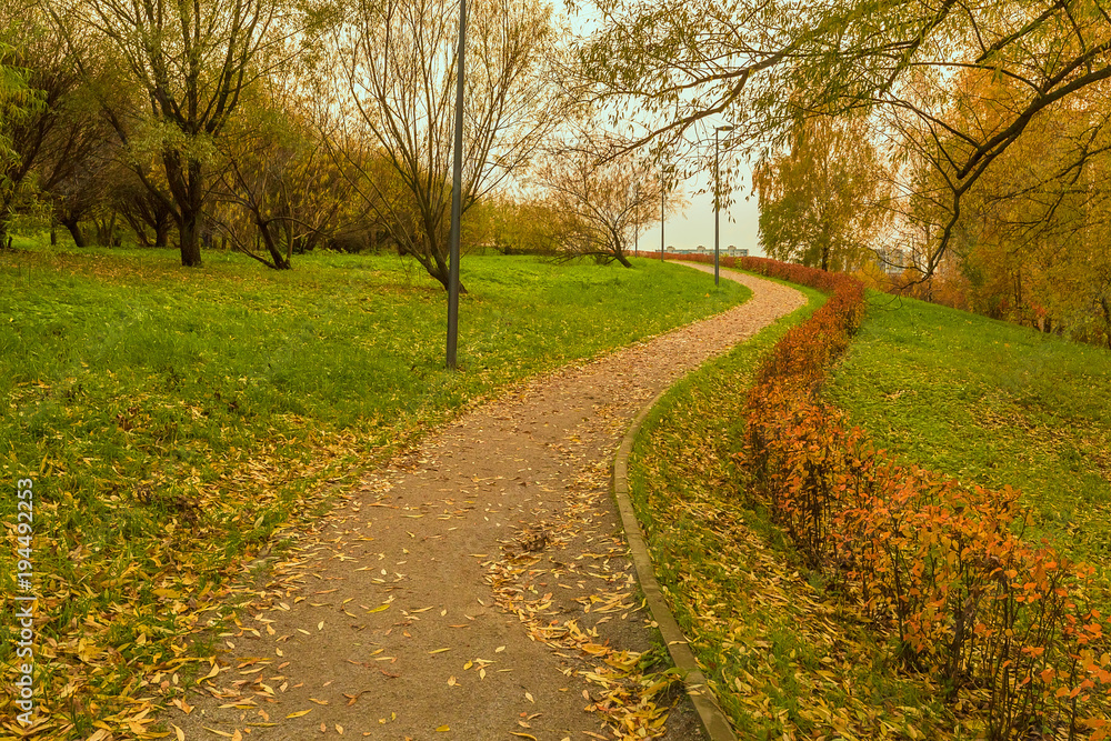 A curvy road beneath the autumn trees A curvy road beneath the autumn trees