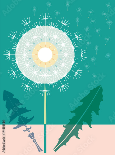 Fototapeta Naklejka Na Ścianę i Meble -  Dandelions pappus in spring air