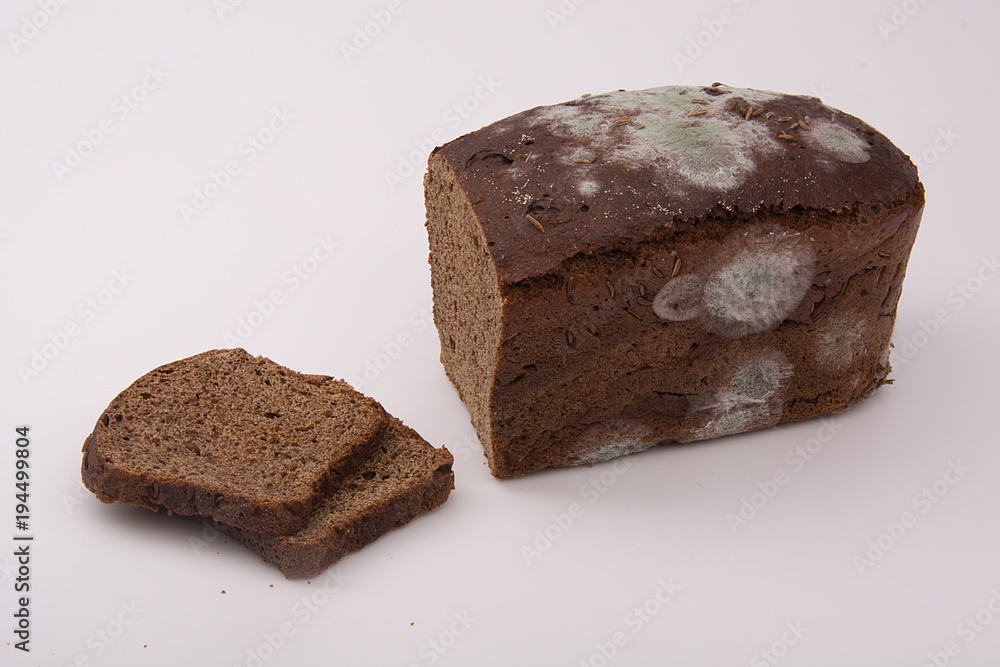 healthy bread with mold, bread with mold healthy bread with mold, bread with mold