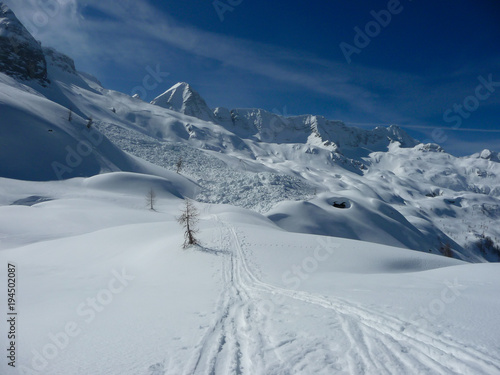 View of ski trails leading to an avalance in Sella Nevea, Italy photo
