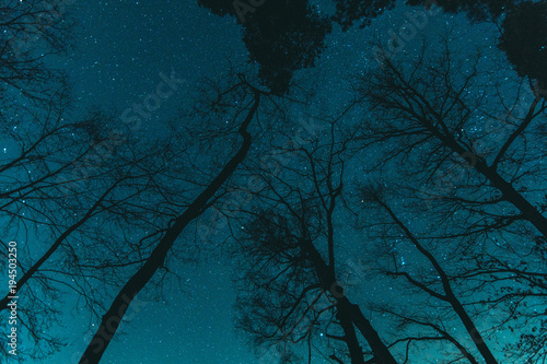 Blick hoch in den Sternenhimmel und träume © Kerlikofsky