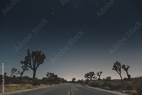 Joshua Tree