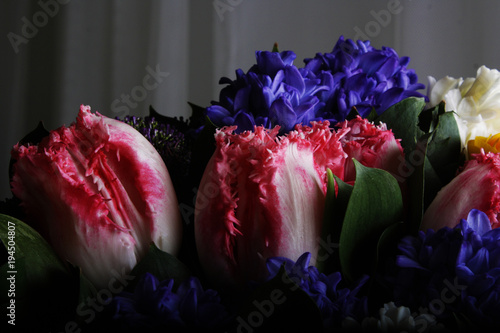 bouquet of hyacinth rannunculus tulip background photo