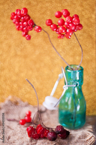 Ripe bunch of red viburnum on a beautiful bokeh background rustic style still life on a table Viburnum kalina red berries close up photo