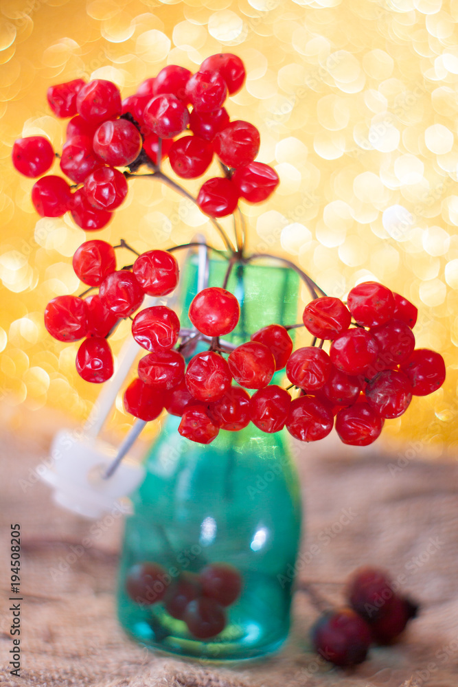 Ripe bunch of red viburnum on a beautiful bokeh background rustic style still life on a table Viburnum kalina red berries close up Ripe bunch of red viburnum on a beautiful bokeh background rustic style still life on a table Viburnum kalina red berries close up