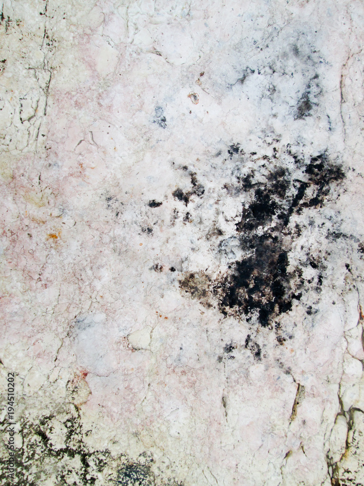 Fototapeta premium Stone texture on rock near seashore