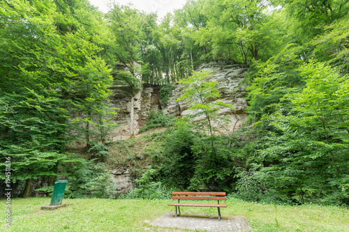 Park bench in front of a forest wall cliff photo