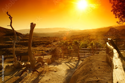 Εκτύπωση καμβά Once upon a time in the west