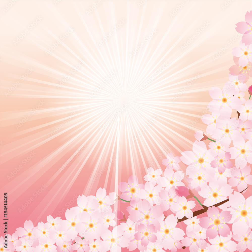 日差しと桜のイラスト 春のイメージの背景画像 桜の木 ソメイヨシノ Stock Vector Adobe Stock