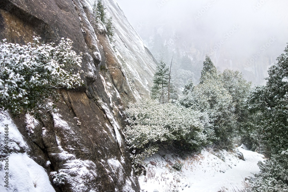Winter Snow Storm Blizzard in Yosemite National Park on Famous Hiking Trail to upper Yosemite Falls