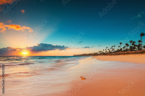 Fototapeta Naklejka Na Ścianę i Meble -  Palm and tropical beach in Punta Cana, Dominican Republic