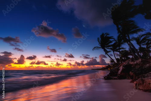 Palmtree and tropical beach © ValentinValkov