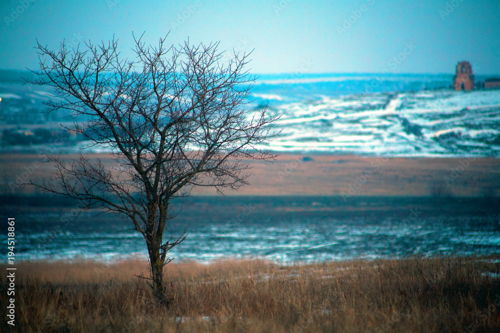 lonely tree on the background of the steppe in winter with snow in the frost without leaves with a church destroyed old temple on the background. lonely tree on the background of the steppe in winter with snow in the frost without leaves with a church destroyed old temple on the background.