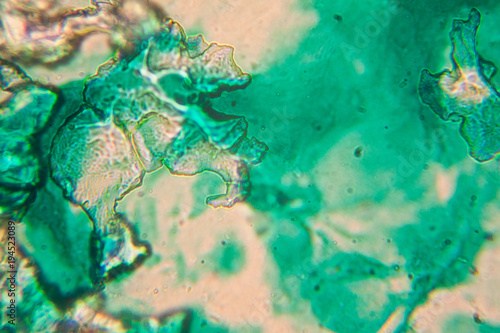 Human cells and dried colorful water at the microscope
