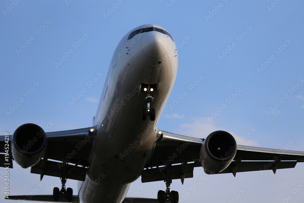 Obraz premium 千里川土手からの飛行機