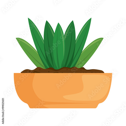 beautiful houseplant in pot vector illustration design