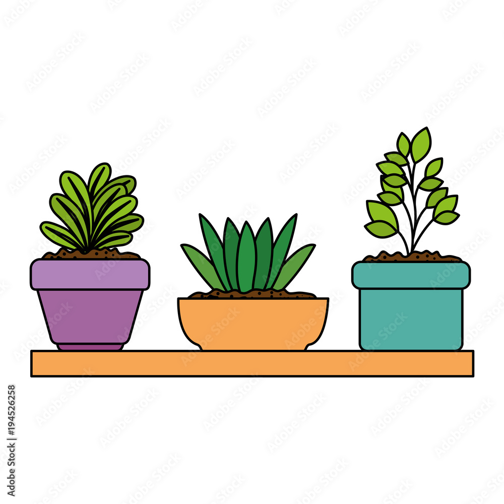 beautiful houseplants set in wooden shelf vector illustration design beautiful houseplants set in wooden shelf vector illustration design